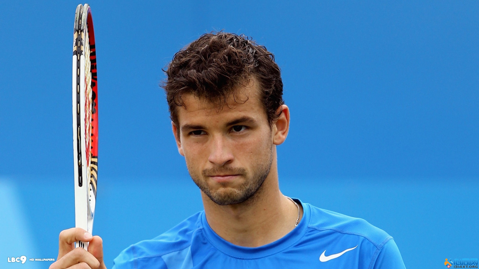 远指引他们 远指引他们