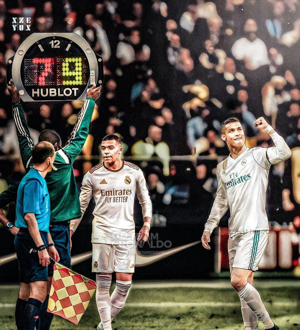 袜的胡须 袜的胡须