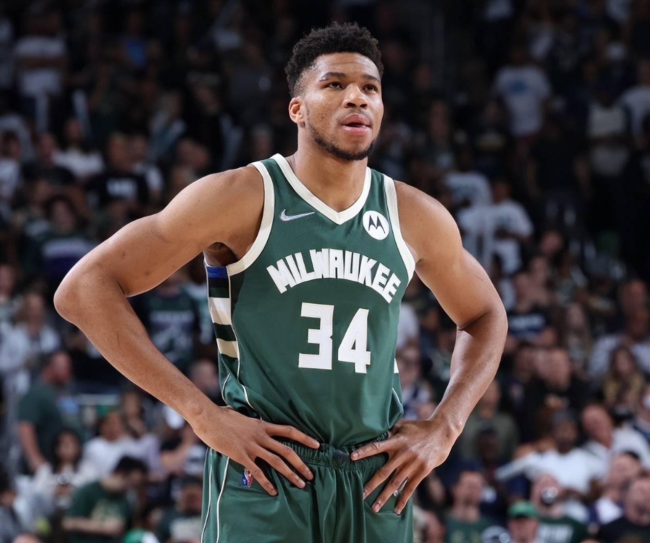 验证了高效 验证了高效