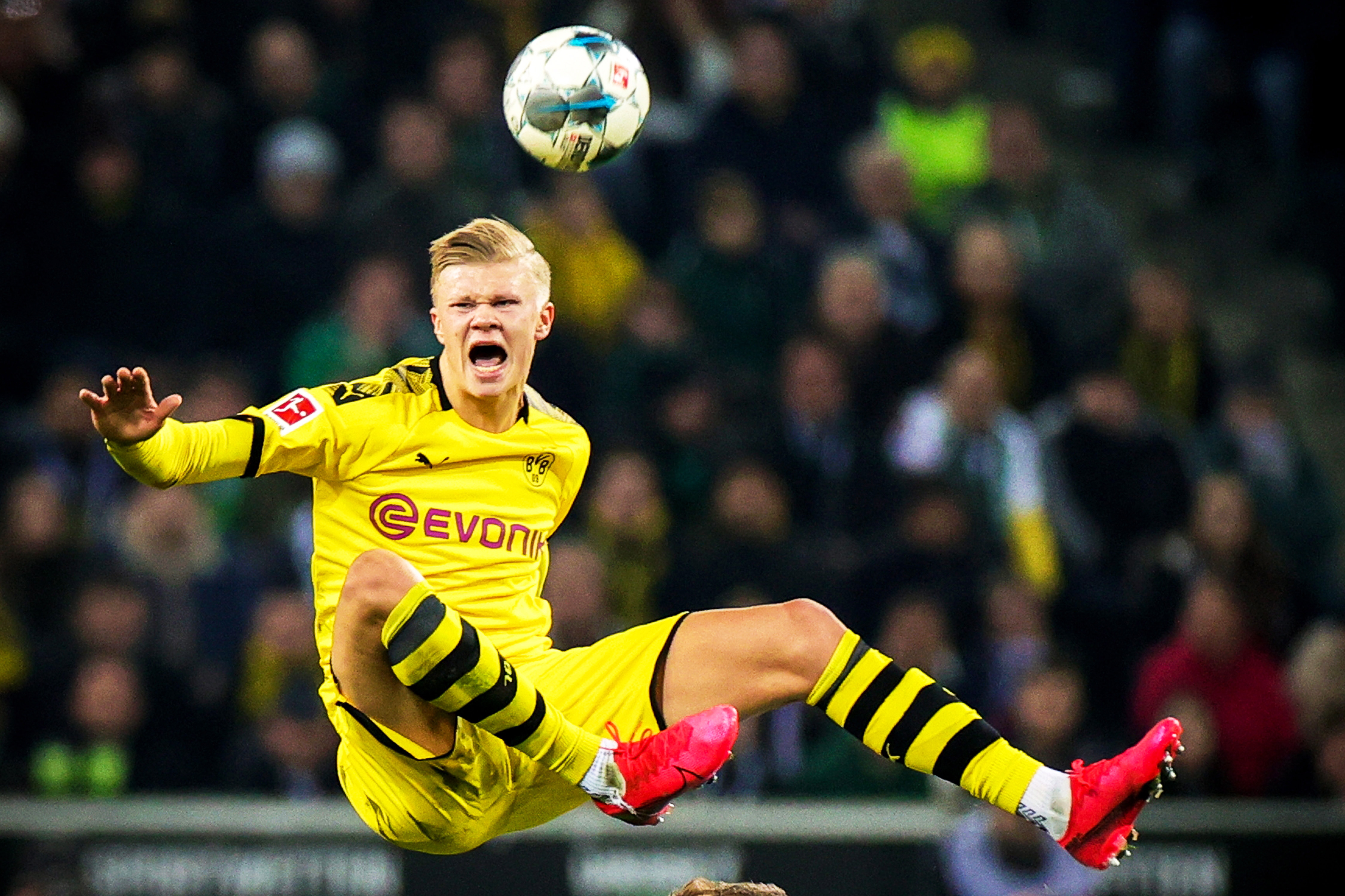 无可挑剔 无可挑剔