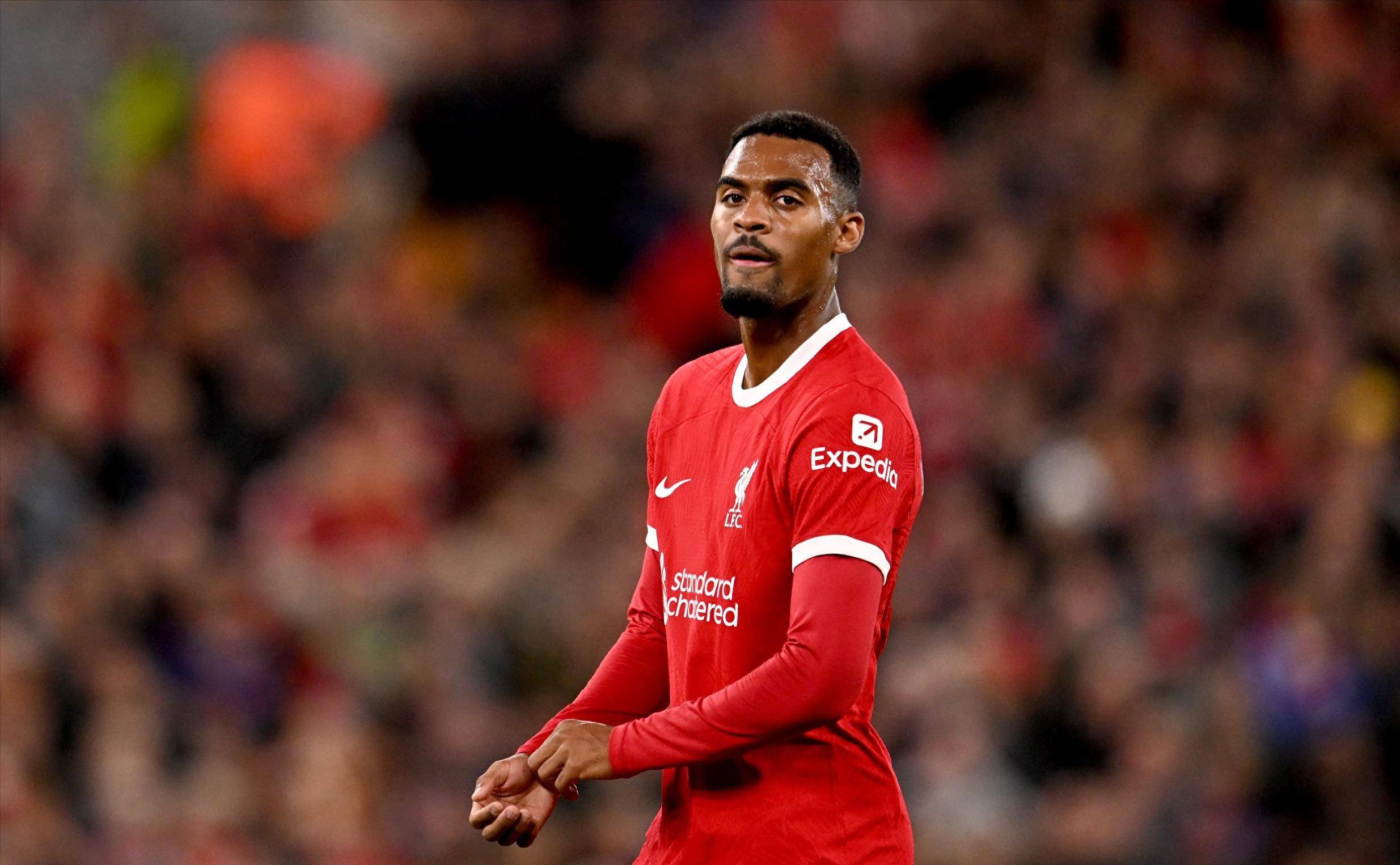 可以预期 可以预期